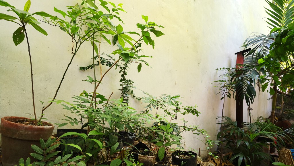 The Permaculture Shift