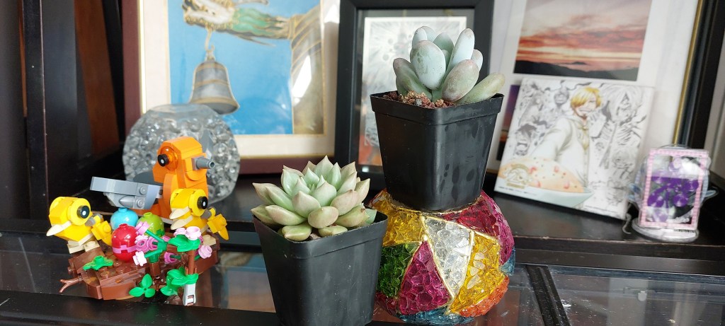 Simple Joys at the Retrograde Weekend&nbsp;Market